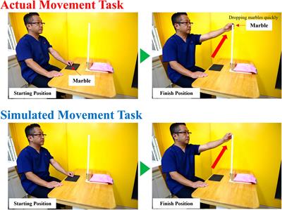 Comparing movement-related cortical potential between real and simulated movement tasks from an ecological validity perspective